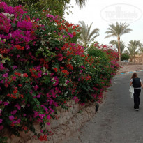 фото из отзыва ID 2258968