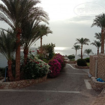 фото из отзыва ID 2258968