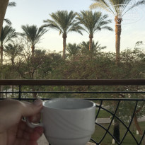 фото из отзыва ID 2259038