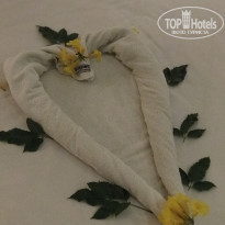 фото из отзыва ID 2259038