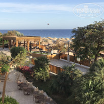 фото из отзыва ID 2259038