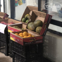 фото из отзыва ID 2259061