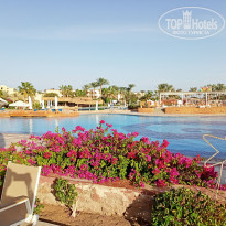 фото из отзыва ID 2259065