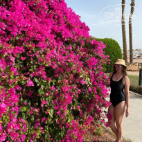 фото из отзыва ID 2259065