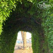 фото из отзыва ID 2259065