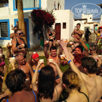 фото из отзыва ID 2259085