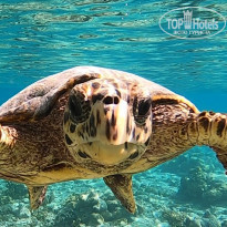 фото из отзыва ID 2258980