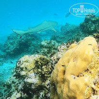 фото из отзыва ID 2258980