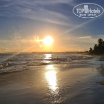 фото из отзыва ID 2259144