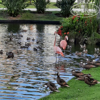 фото из отзыва ID 2259400