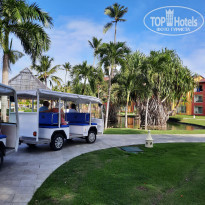 фото из отзыва ID 2259400