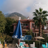 фото из отзыва ID 2259425