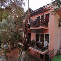 фото из отзыва ID 2259425