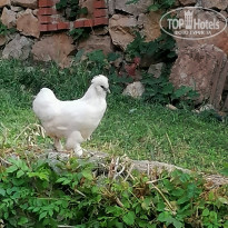 фото из отзыва ID 2259425