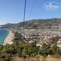 фото из отзыва ID 2259436