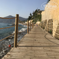 фото из отзыва ID 2259438