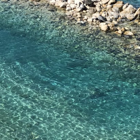 фото из отзыва ID 2259438