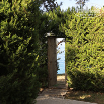 фото из отзыва ID 2259438