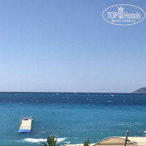 фото из отзыва ID 2259438