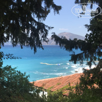 фото из отзыва ID 2259438