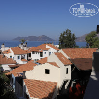 фото из отзыва ID 2259438