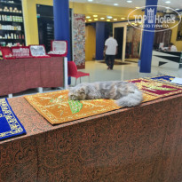 фото из отзыва ID 2259501