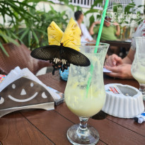 фото из отзыва ID 2259501