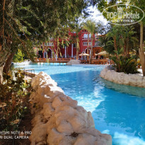 фото из отзыва ID 2258148