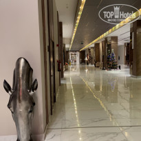 фото из отзыва ID 2258701