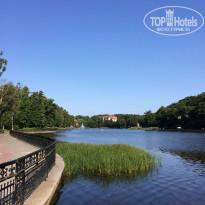 фото из отзыва ID 2258703