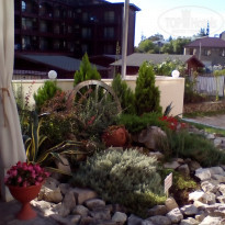 фото из отзыва ID 2259739