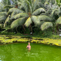 фото из отзыва ID 2259735