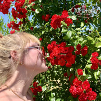 фото из отзыва ID 2259746