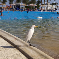 фото из отзыва ID 2259825