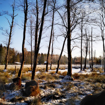 фото из отзыва ID 2259897