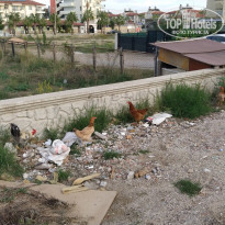 фото из отзыва ID 2259623