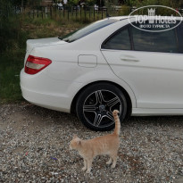 фото из отзыва ID 2259623