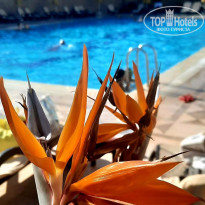 фото из отзыва ID 2259942