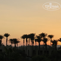 фото из отзыва ID 2258580