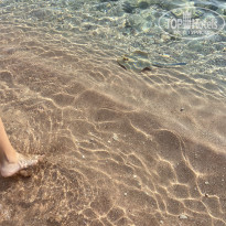 фото из отзыва ID 2250785