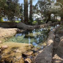 фото из отзыва ID 2250785