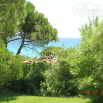 фото из отзыва ID 22621