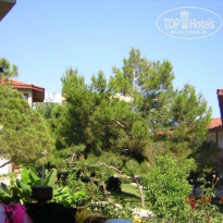 фото из отзыва ID 22623