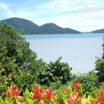 фото из отзыва ID 226029