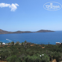 фото из отзыва ID 226697