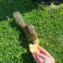 фото из отзыва ID 2260014