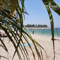 фото из отзыва ID 2260109