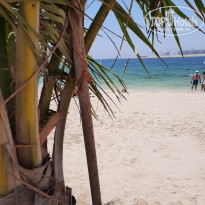 фото из отзыва ID 2260109