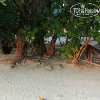 фото из отзыва ID 2260300