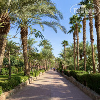 фото из отзыва ID 2260377